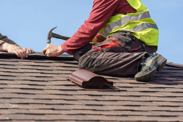 Best Roof Maintenance Services  in Carroll, IA
