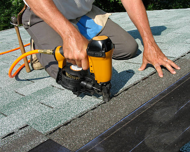 Best Flat Roof Repair Services  in Carroll, IA